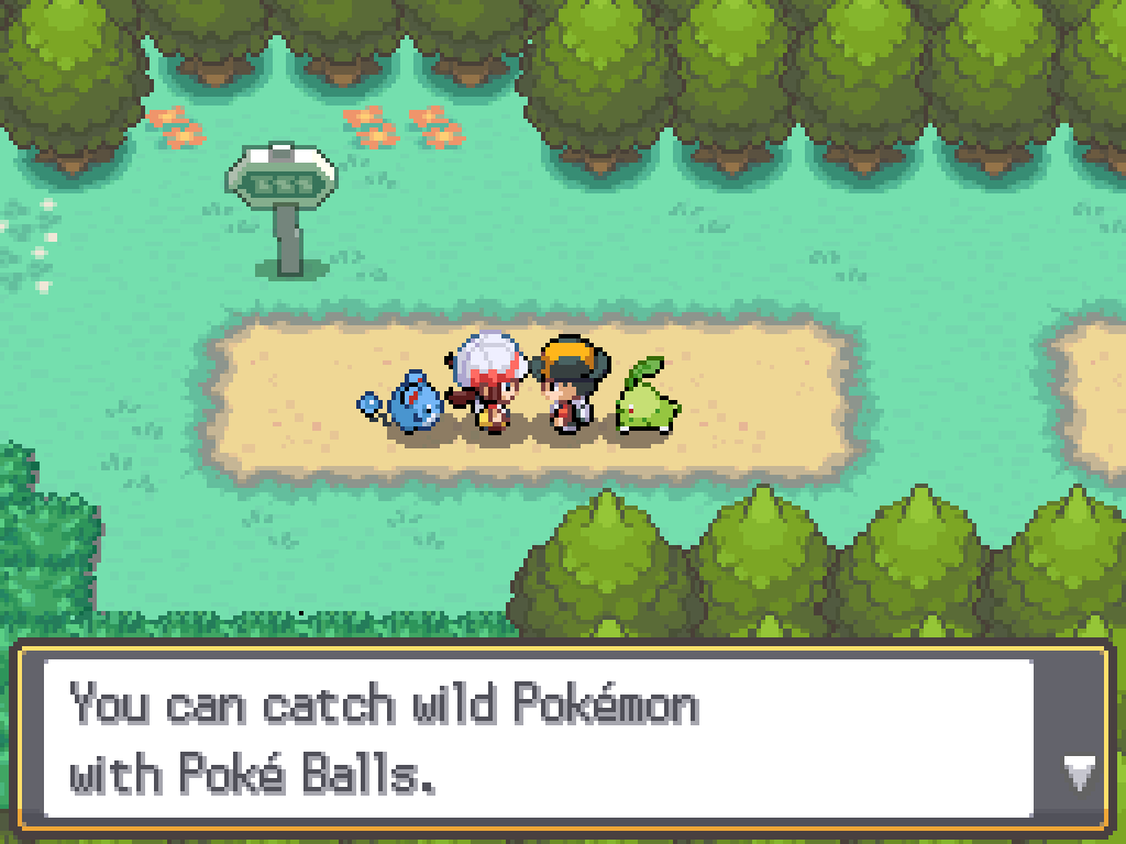 With Lyra on route 29.  Lyra: You can catch wild Pokémon with Poké Balls.