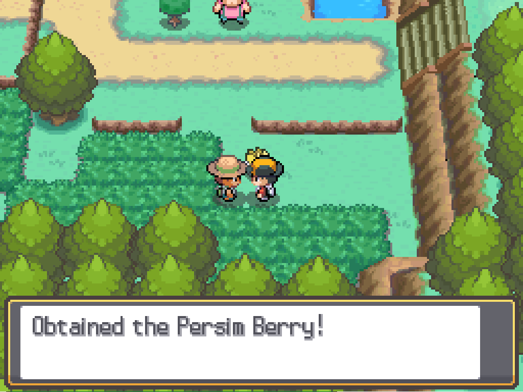 Game text: Obtained the Persim Berry!