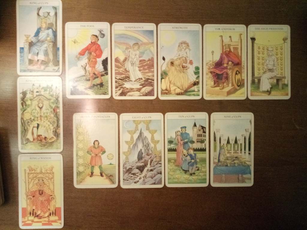 Tarot cards laid out on a table: King of Cups, King of Pentacles, King of Wands, the Fool, Temperance, Strength, the Emperor, the High Priestess, Seven of Pentacles, Eight of Cups, Ten of Cups, Nine of Cups